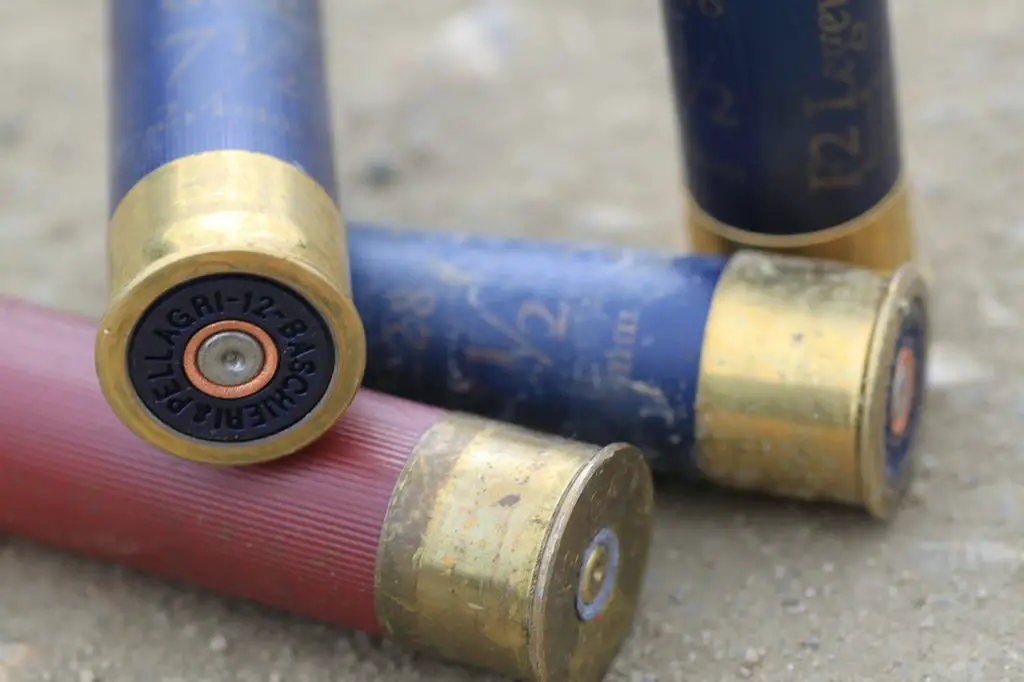 red and blue shotgun shells from over-under shotguns laying on the ground